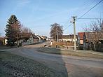 Třibřichy